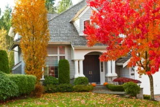 The One Area You Should Refresh in Autumn to Boost Your Home’s Value